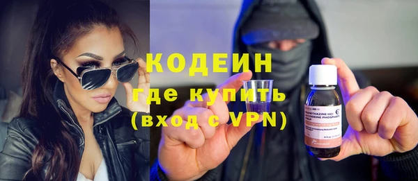 сатива Новозыбков