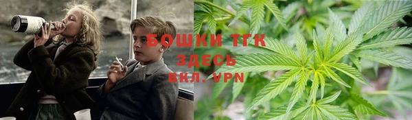 гидра Нязепетровск