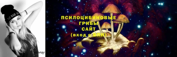 винт Няндома