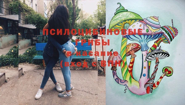 гидра Нязепетровск