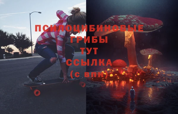 синтетический гашиш Ельня