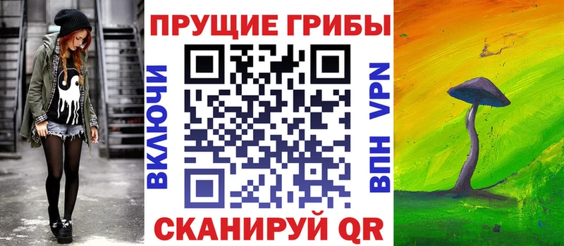 Псилоцибиновые грибы Psilocybe Полесск